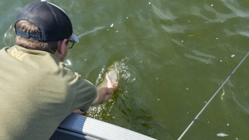 If fish doesn't look or smell right, is it worth risk?